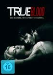 Michael Lehmann, Scott Winant (R): True Blood - Die komplette zweite Staffel (5 Discs)