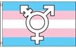 Flagge: Große, leichte Fahne für TransGender mit Transgender-Zeichen