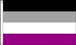 Flagge: Asexuell - Fahne L