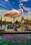 Thomy Schallenberger: Pretty Flamingo