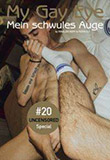 Rinaldo Hopf / Fedya Ili (Hg.): Mein schwules Auge 20 / My Gay Eye 20: Uncensored Special