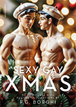 F. G. Borghi: Sexy Gay XMAS